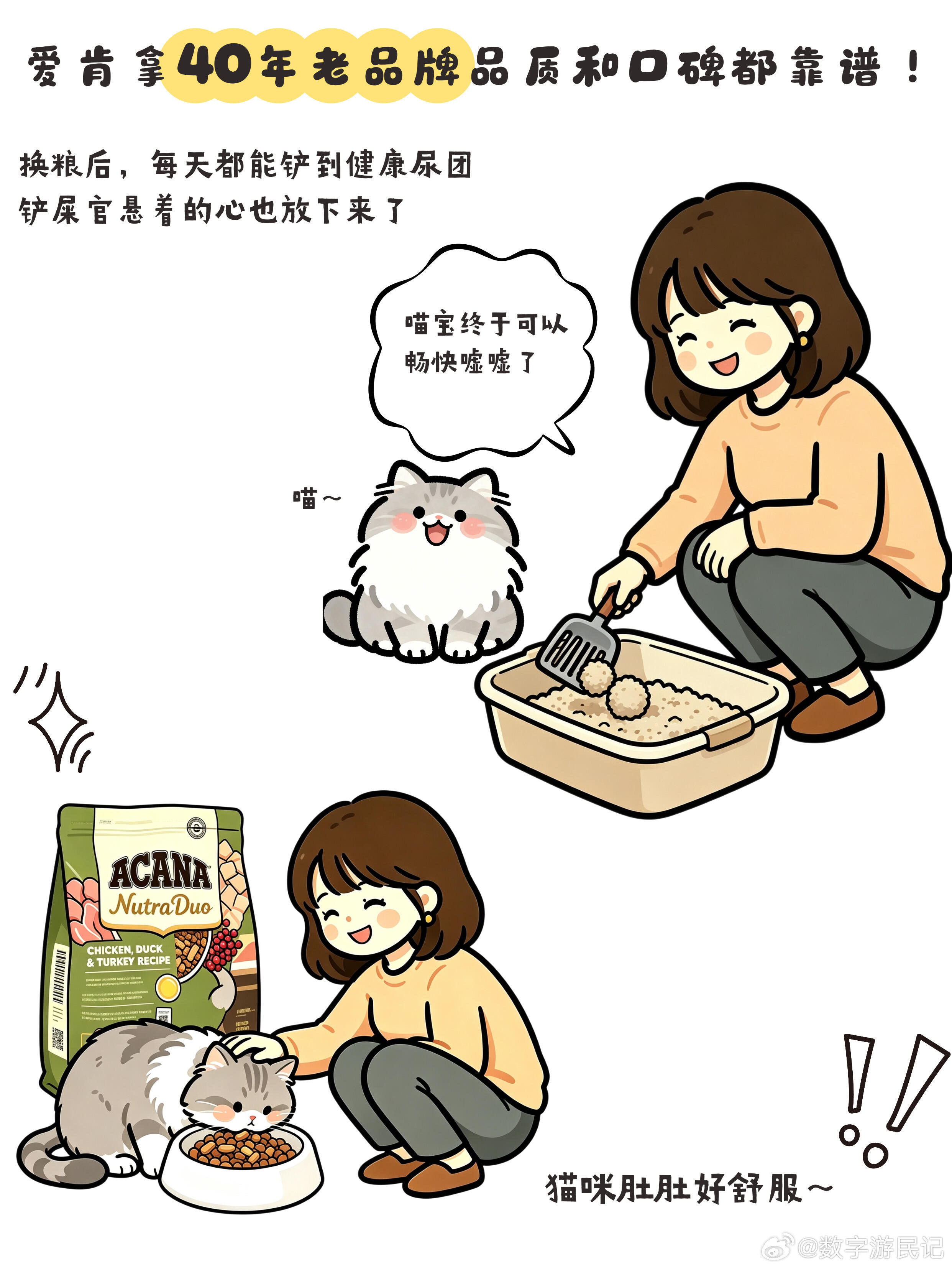 终于有人把养猫的细节说明白了对我的猫没有任何要求，只希望它能吃得饱、尿得多、睡得