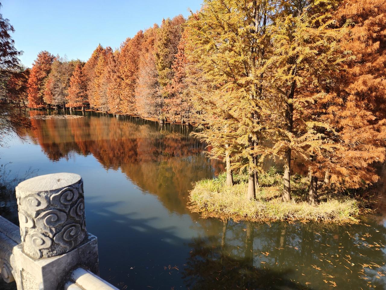 南京的秋天是很美的。我不太会拍照，但还是拍了几张给大家看看。秋天南京可以去的