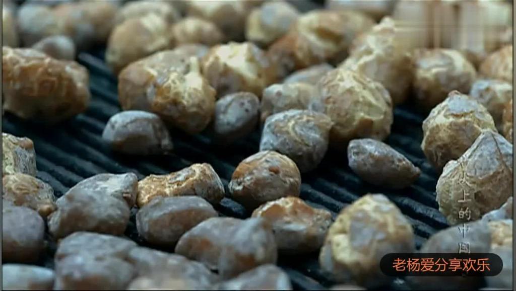 5131225373967696978.jpg?id=0