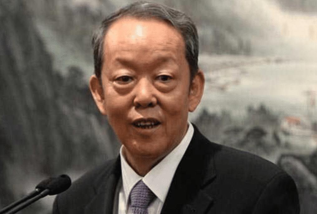他是陈毅元帅的女婿，曾出任外交部副部长，2005年成功阻止日本“入常”20