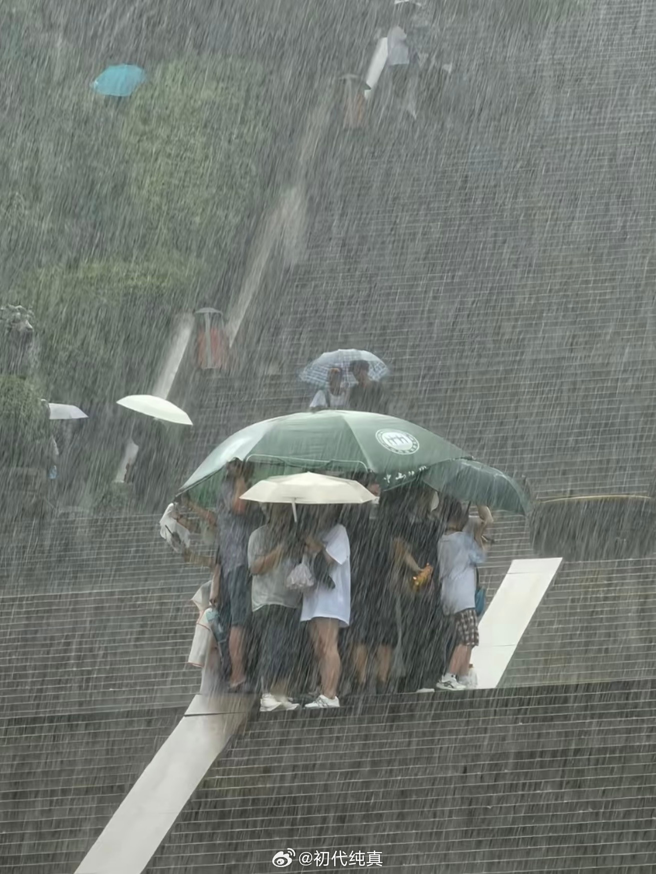 一个人淋雨有点惨，一群人淋雨好兴奋[笑着哭]​​​