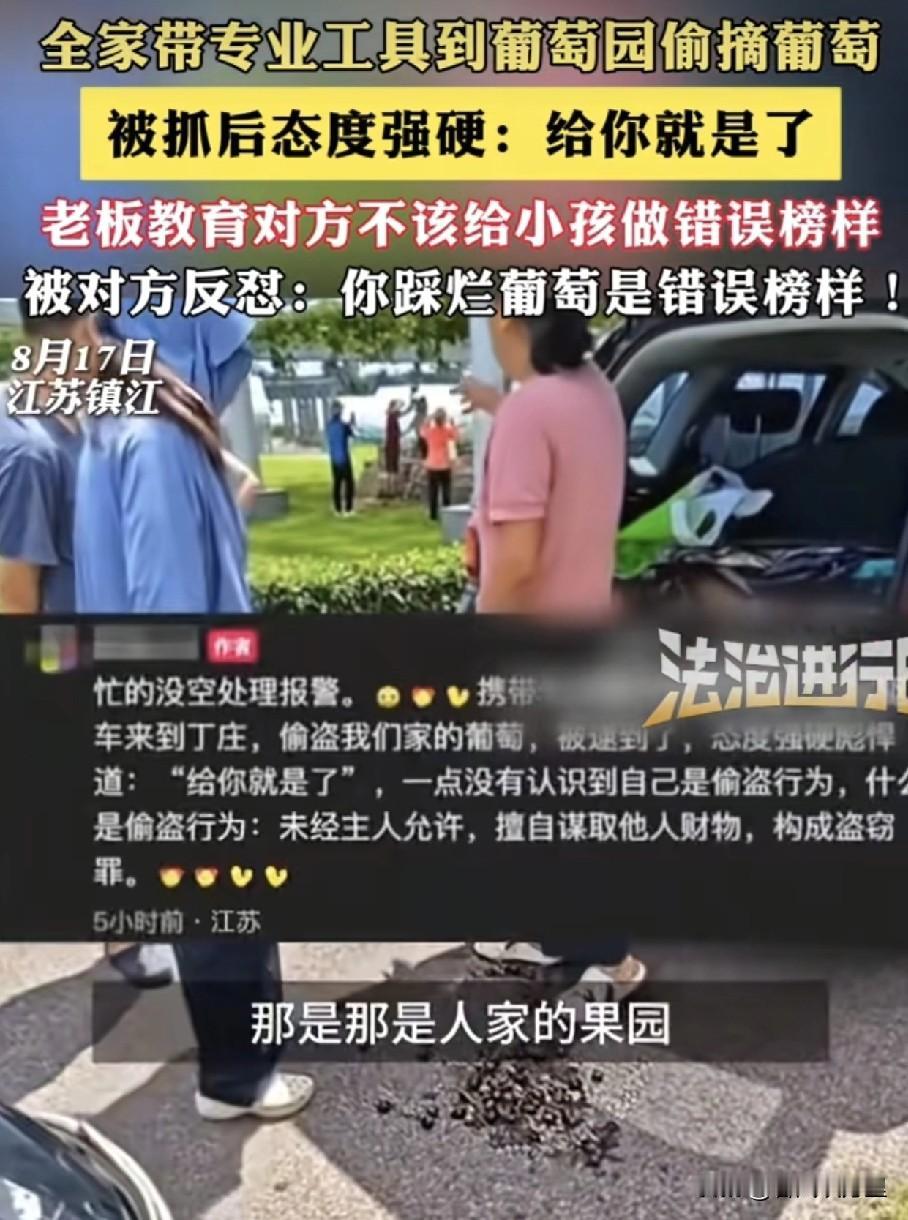 “见过丢人的，没见过一家子组团儿出来丢人的！”，江苏镇江，有这么一家人，开着车专