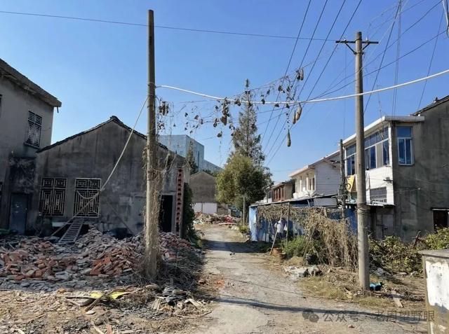 上海地名里, 还有多少“更浪”?