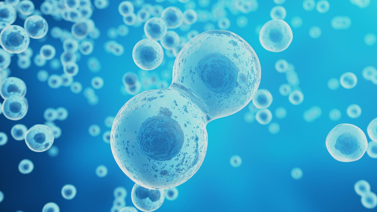 韩媒：“差距达到9倍”，中国生物技术压倒韩国！3月29日，韩国媒体《先驱经济》