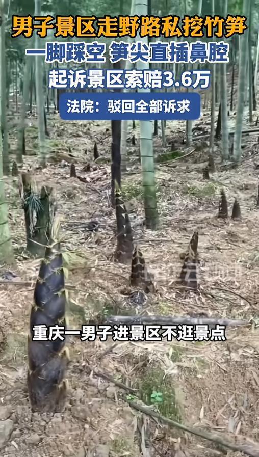 “有理没理先讹三分？”去年10月，重庆，一男子到景区游玩，他却不走寻常路，私自跑