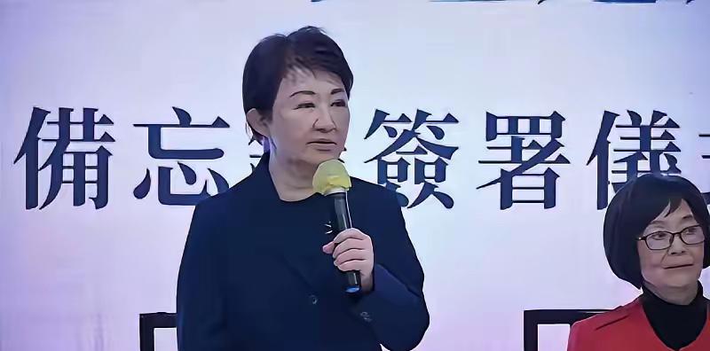 “独台”分子卢秀燕非常嚣张！这女人胆子是真大，跑到美国去放狠话。她居然说，要