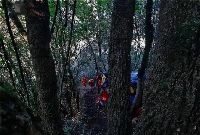 1993年云南深山怪事！700人一夜消失，粥还热着狗全死，官方扯“外迁”，神