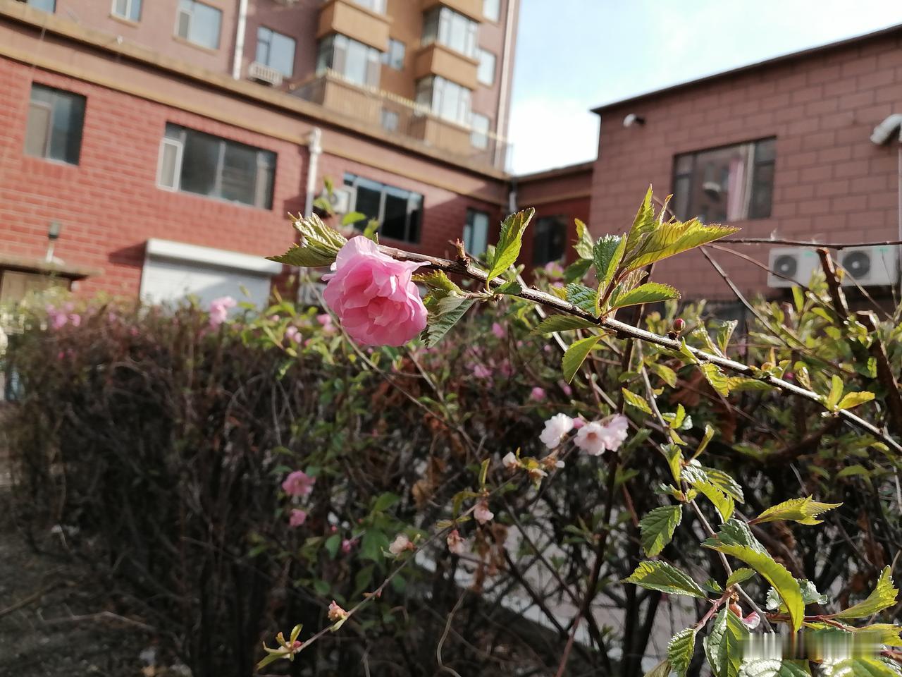 在超市遇到娟姐，我一下子就知道我今天为什么心情不好。刚才，我去超市想买地瓜。