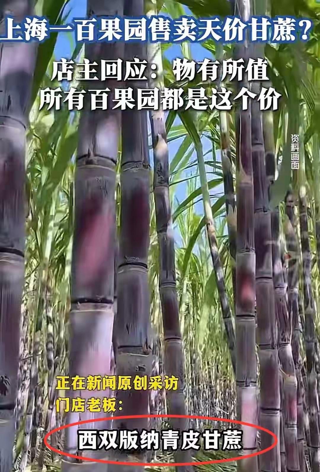 针对消费者称花91元买一根甘蔗一事，店主回应称，这款甘蔗非普通品种，是来自云南西