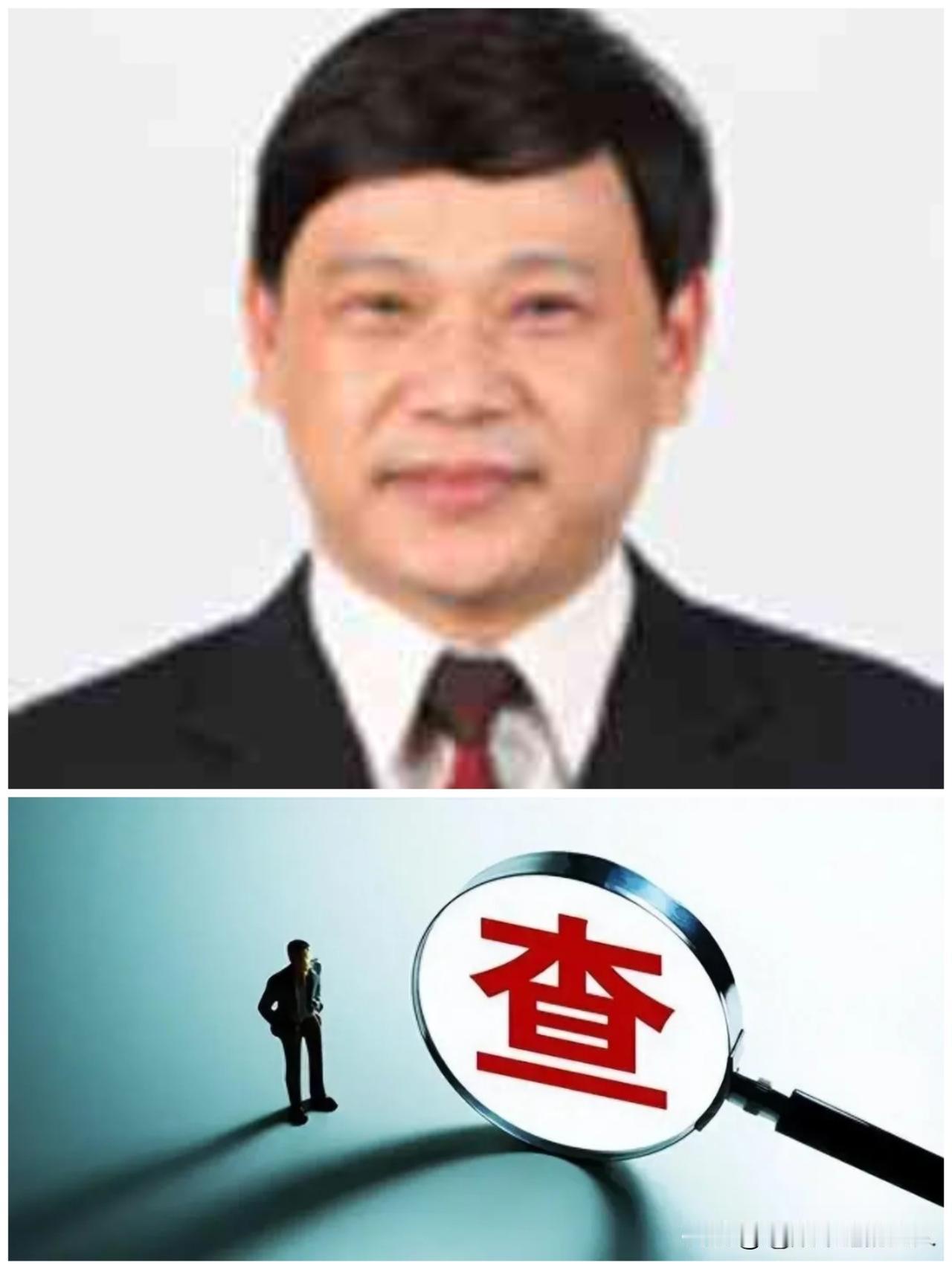 ……7月14日，63岁的一级巡视员“杨炯”主动投案了，看了一下他的工作履历和简历