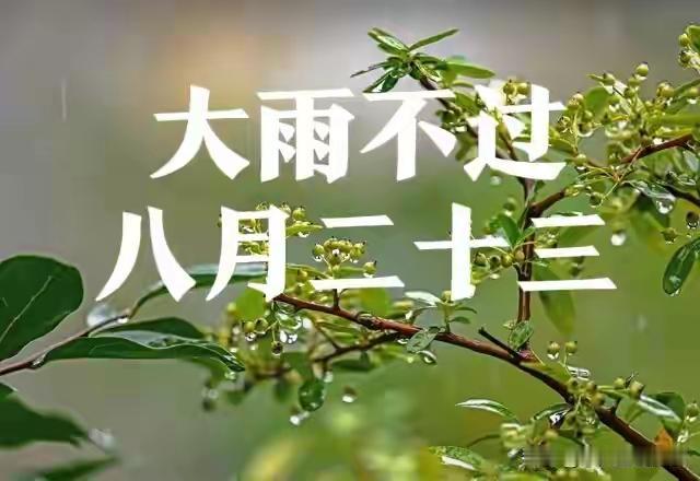 今年降雨啥时候结束？老话“大雨不过八月二十三”，看看准不准北方地区今年自入秋
