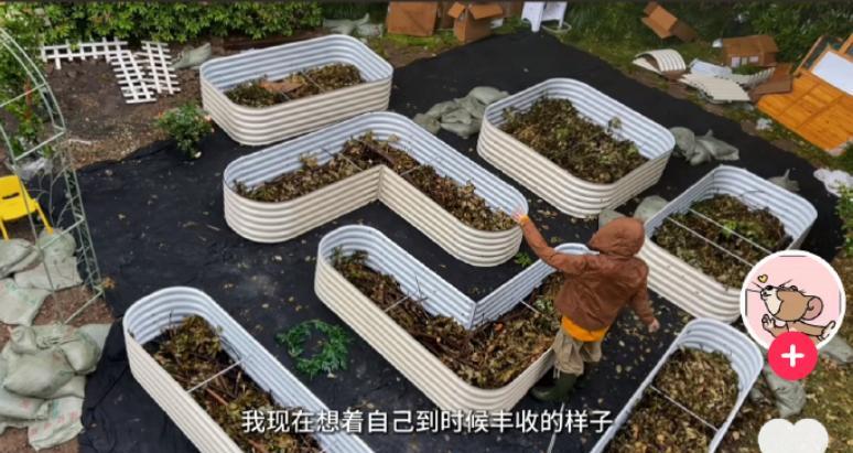天哪，郑恺真的找到宝了。看苗苗种菜种花，打造小农场也太治愈了。苗苗的动手能力真