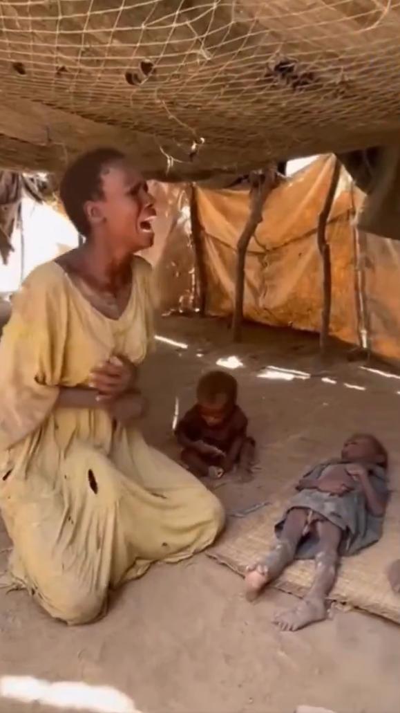 苏丹法希尔市的饥荒。视频显示，一名痛苦的妇女带着严重营养不良的孩子们挤在临时搭建