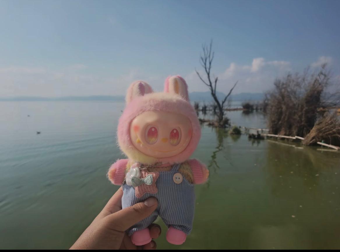 论P图的重要性：P图前平平无奇，P图后马尔代夫[捂脸哭]