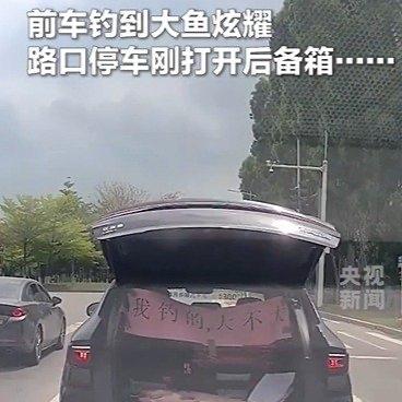 4月1日，广东东莞的街头发生了一件让人哭笑不得的趣事。一位钓鱼大哥运气爆棚，钓到