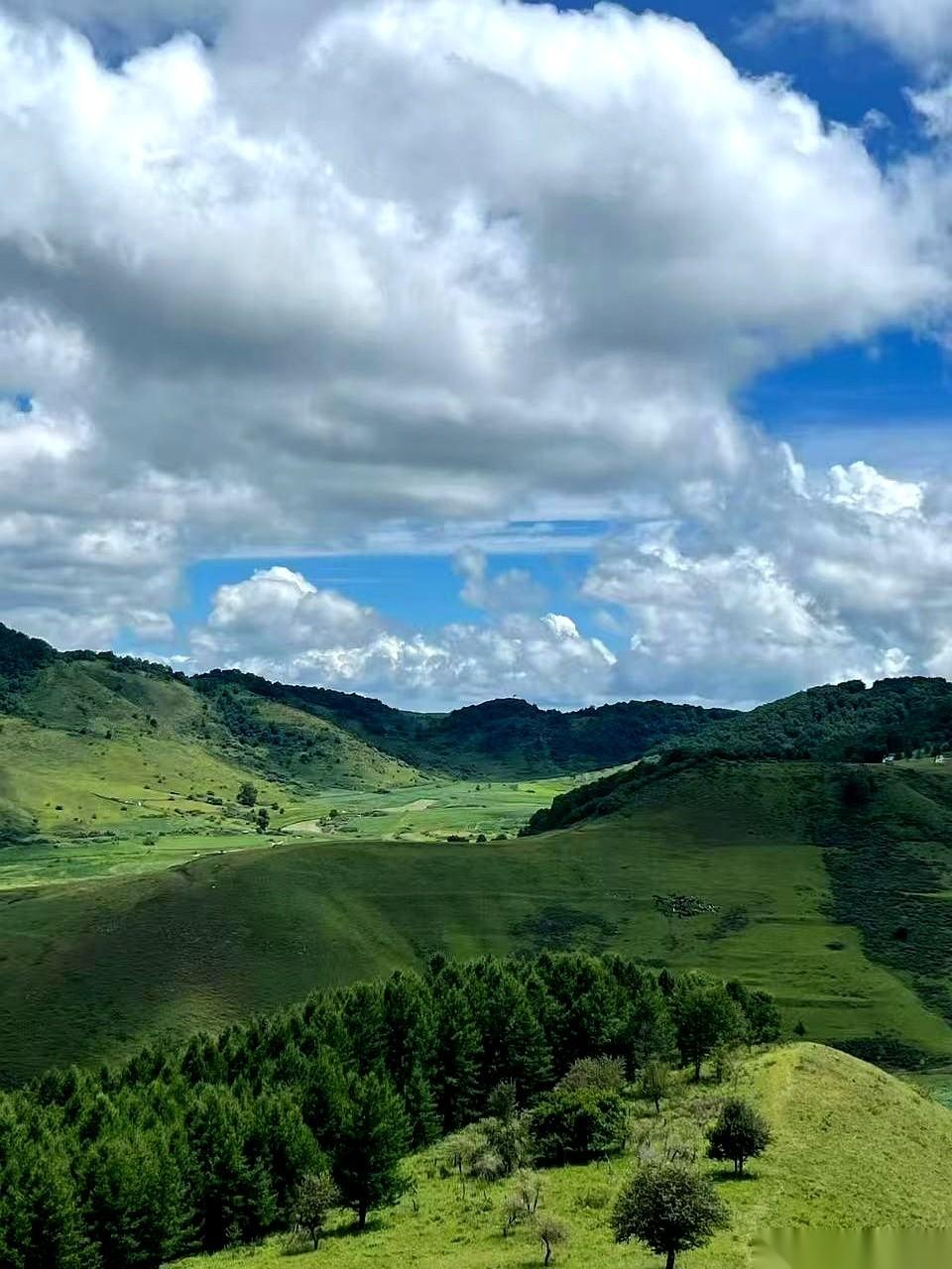 存折里躺着整整三百万，每个月还有三四千块养老金准时进账，老两口出门买菜，却天天专