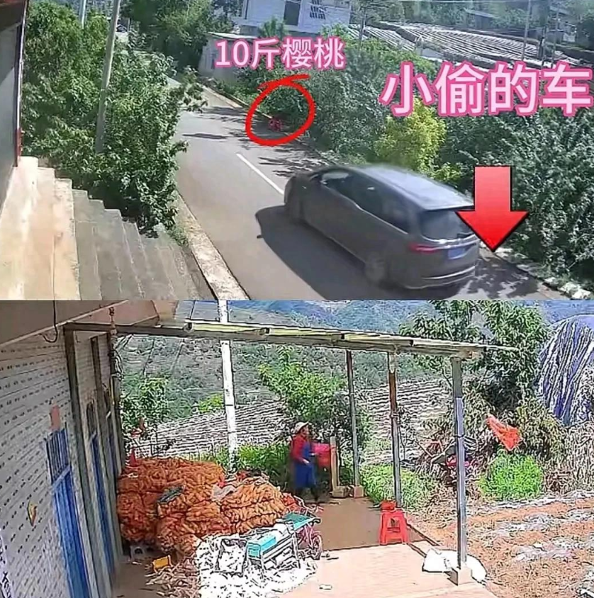 太缺德了！老人路边摆摊卖樱桃，被开商务车男子偷走，家属气到报警