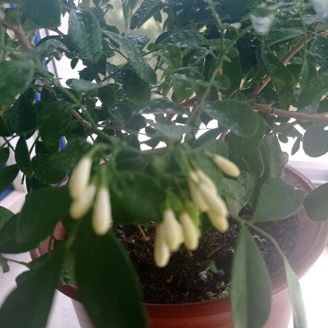 人到老年，只管活着，什么都不要想，什么都不要求，什么都不要怕，人活一辈子，最后拼