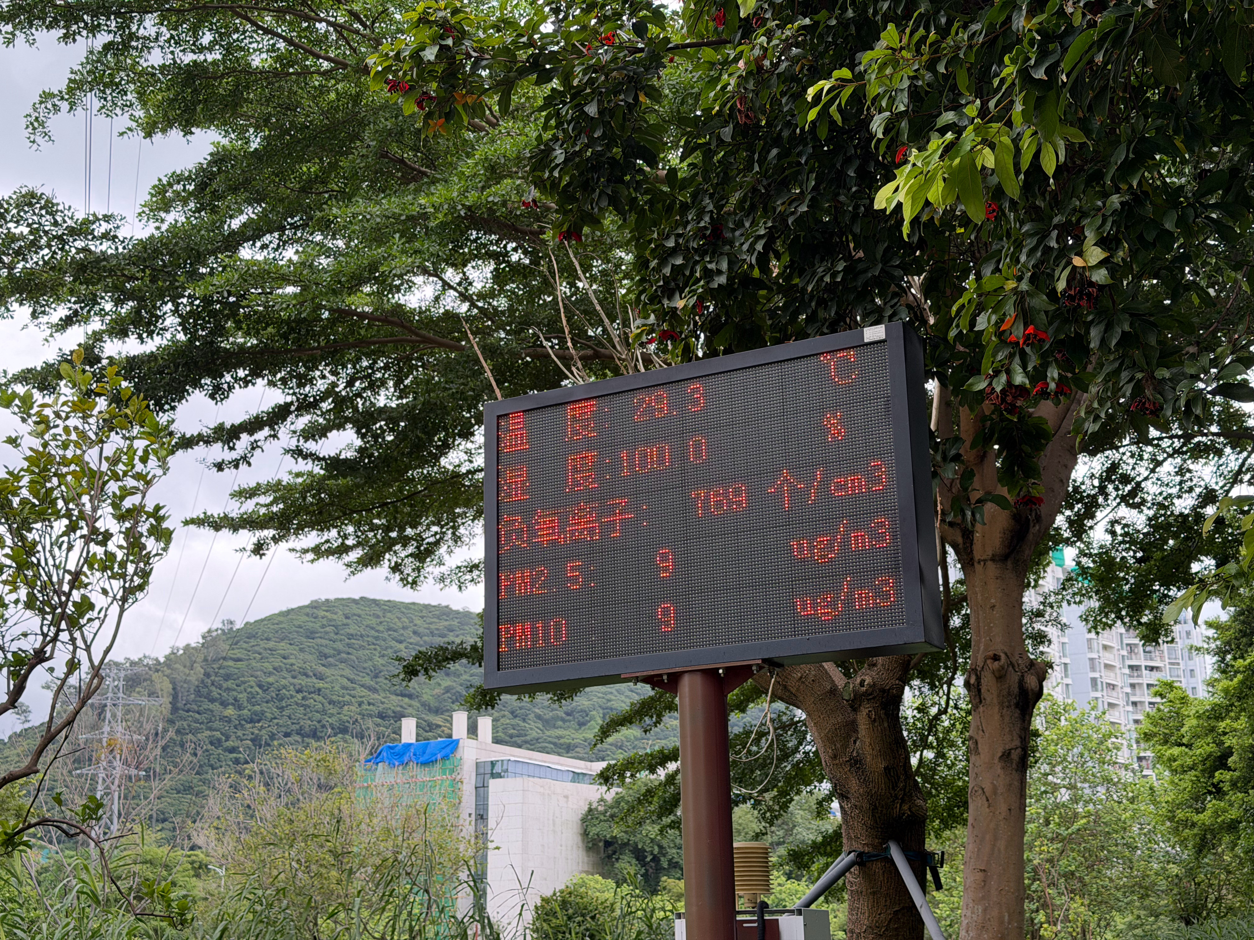 咱就是说深圳的湿度能有多高深圳·九祥岭社区公园