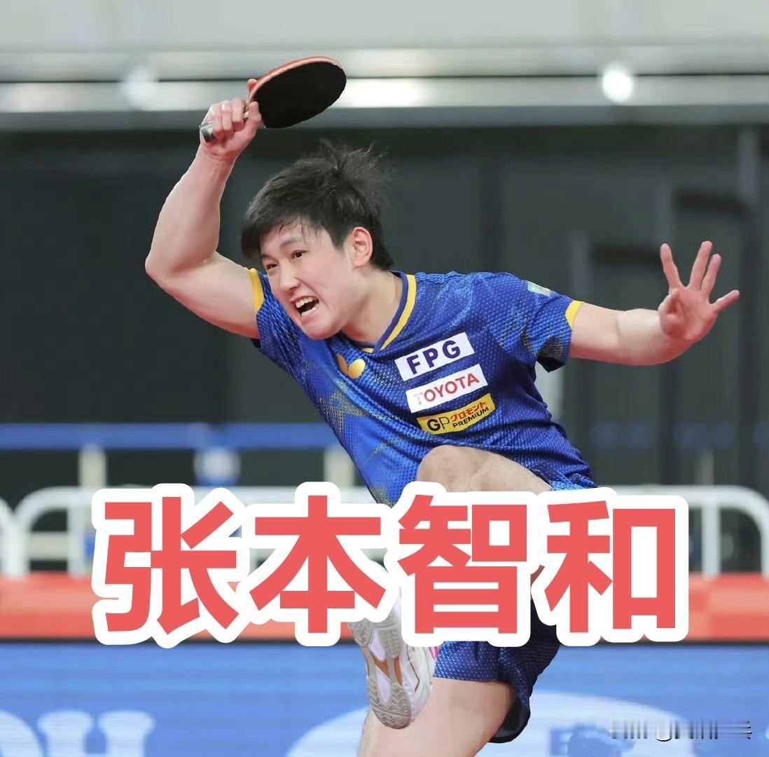 张本智和全日锦成年组男单历年战绩：20254强半决