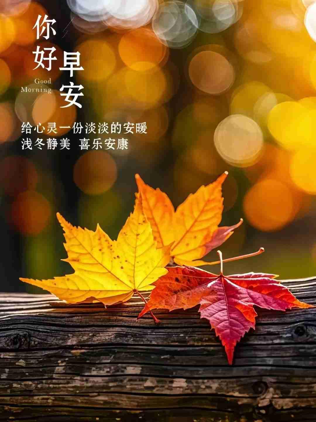 晨光破晓，好运悄至，花开向暖，美好启程，沿着你的道路，鲜花将不断绽放，周末愉快！