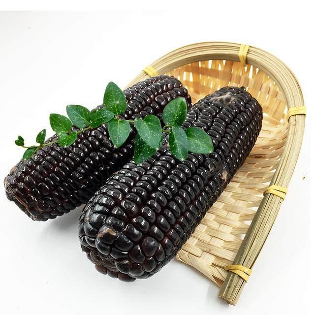 寒冷的冬季, 孕妇常吃这几种食物, 促进胎儿发育, 胎宝宝更健康
