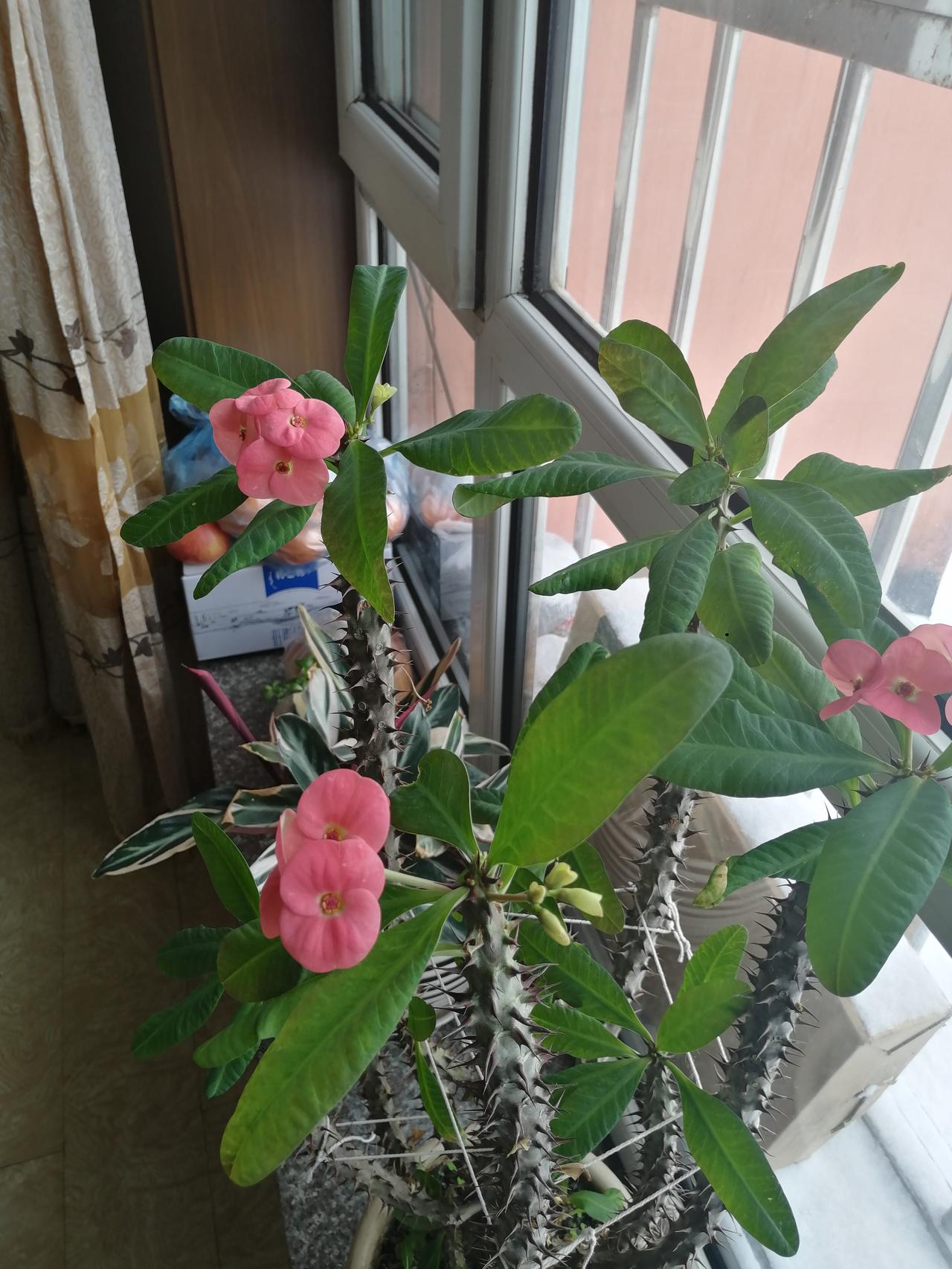 怎么这么差劲？？！！