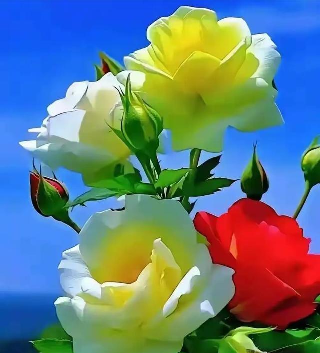 缘分来了挡都挡不住，​和儿媳妇认识之前，儿子谈了好几个对象，不是这里不好，就是