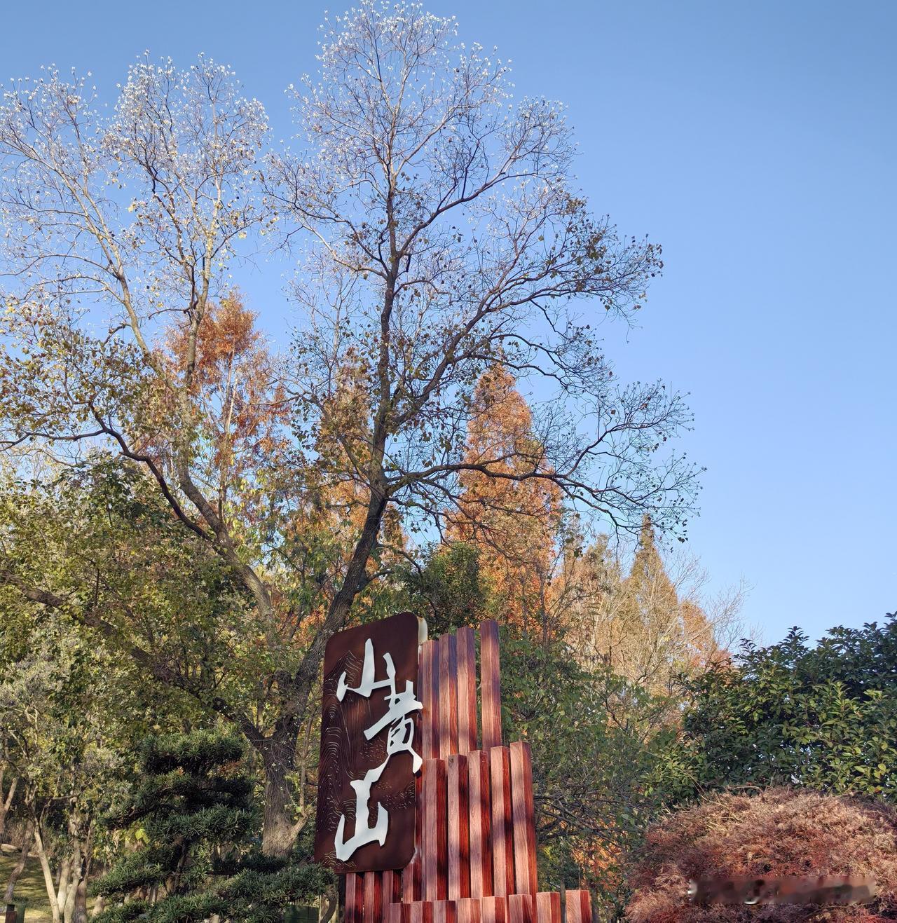 11月的最后一天，我们来到了常州小黄山景区。小黄山是常州新北区唯一、全市少见