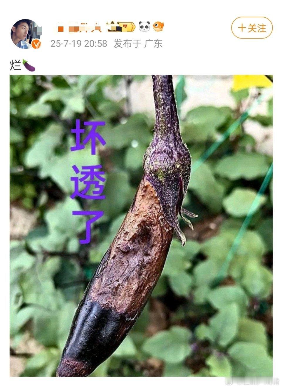 天线宝宝发的​​​