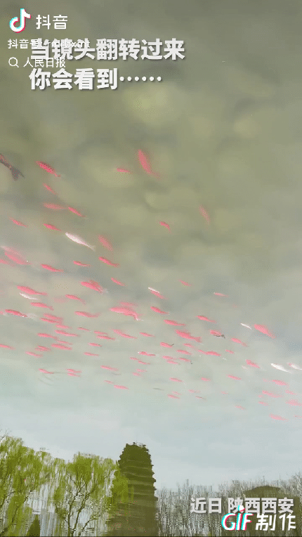 “火到人民日报了！”陕西西安，摄影师在湖边拍摄，镜头一反转，竟拍出了古诗词里的绝