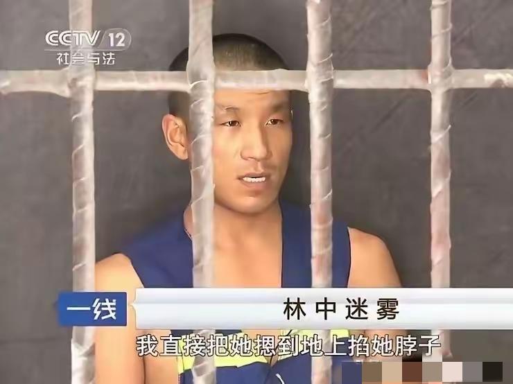 男子沉迷黄色影像，为了发泄竟以招聘为名，强奸多名大妈。这桩案件发生在北京丰台。嫌
