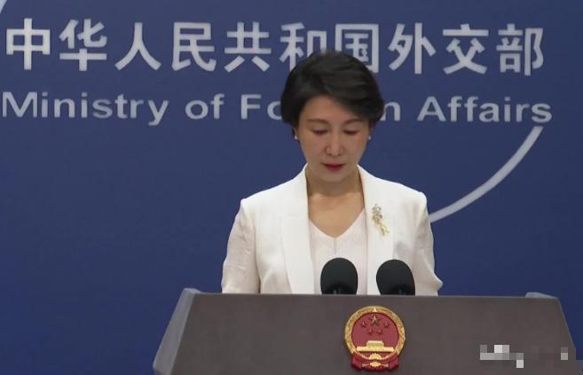 想象中的撤侨行动完全破灭！日本战争防御严密，中国军舰一旦闯入东京湾就会被打击，侨