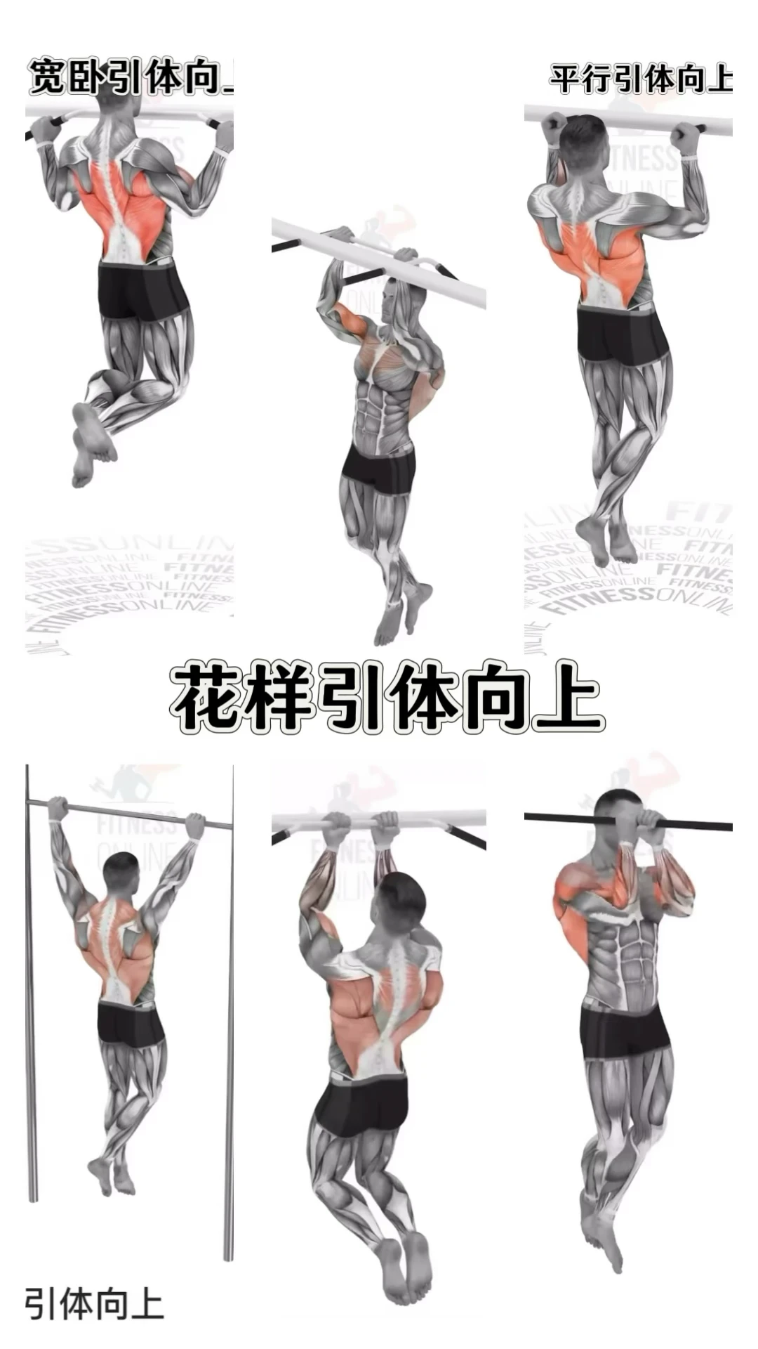 练引体背没感觉？这6个动作救你