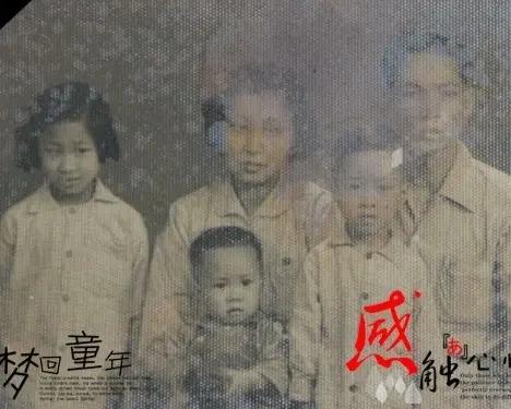 妈妈的老照片