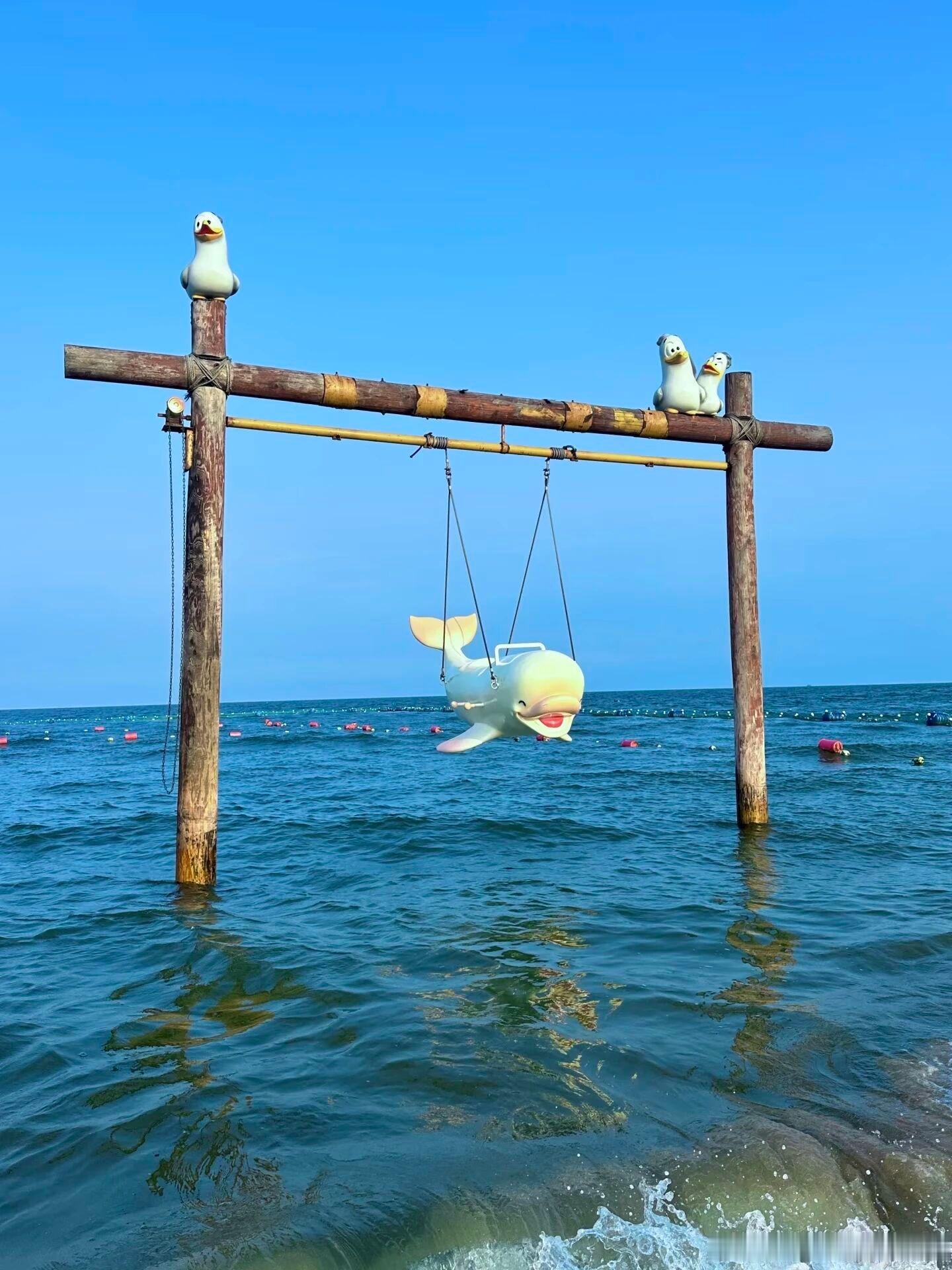 谁懂啊！北方也有治愈感满分的海岛度假🌊秦皇岛渔岛真的超出预期！澄澈蓝海、椰林草