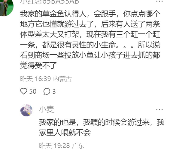 原来鱼能感受痛苦