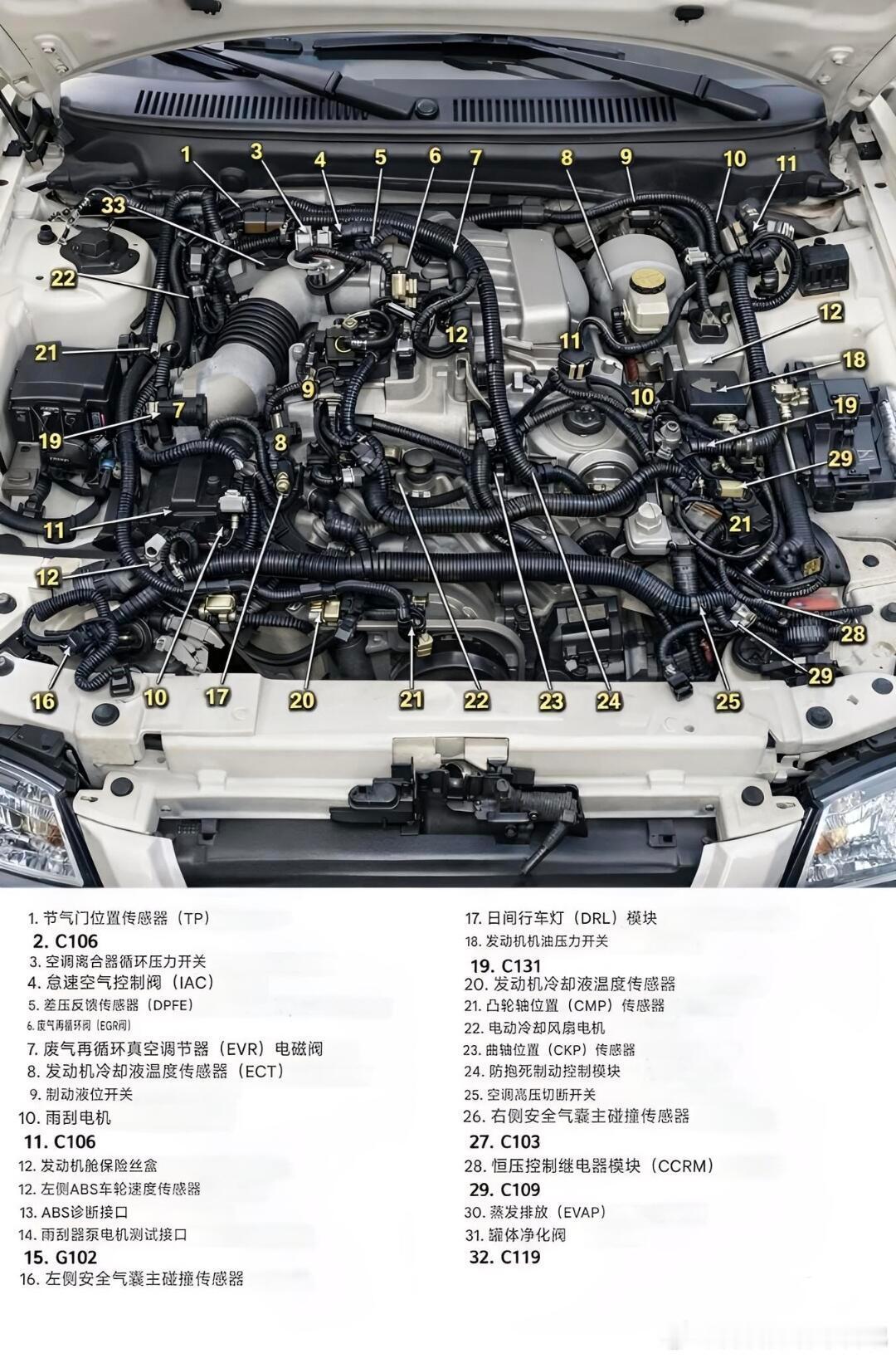 汽车知识-汽车前舱零部件组成