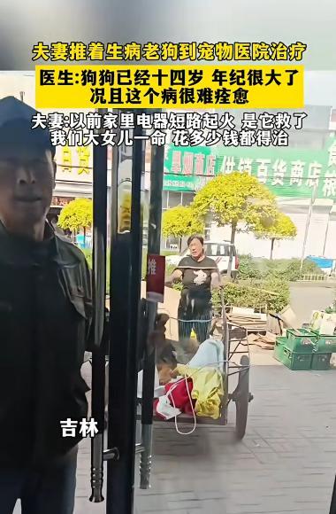吉林，一对中年夫妻用三轮车推着一条生病的老狗去宠物医院看病，医生看到后，告知说
