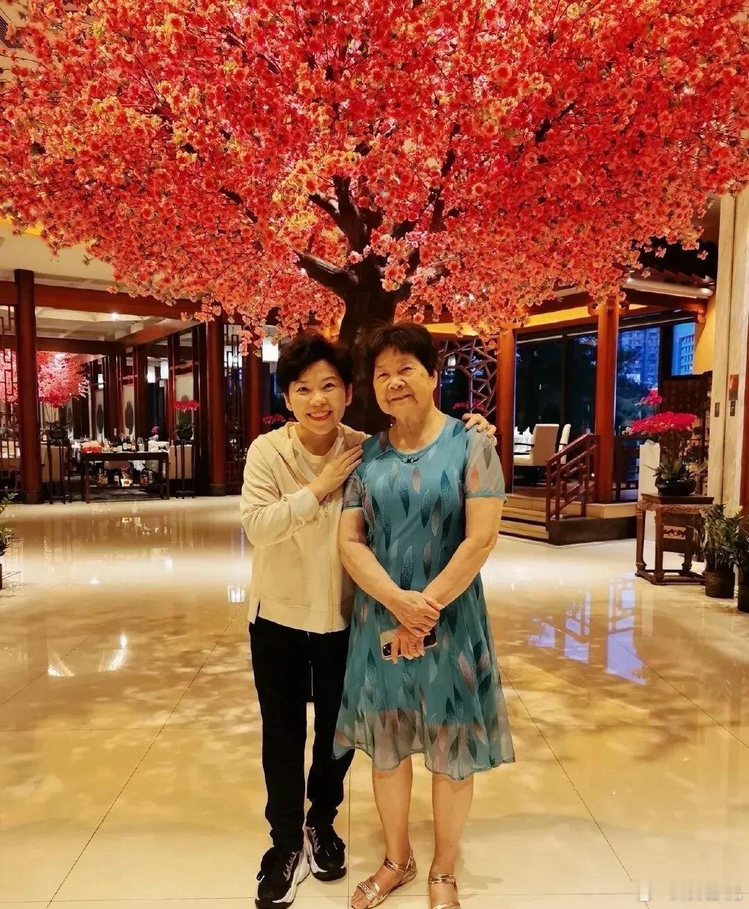 邓亚萍比以前好看多了，好像也长高了，但还是没有婆婆高。据说是医美的功劳。