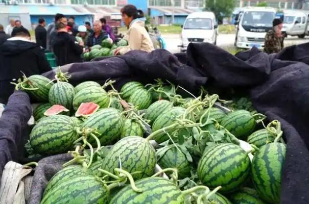 其实韩国人一直有一个秘密，他们时不时就会到中国的山东特别是青岛地区游玩，吸引他们