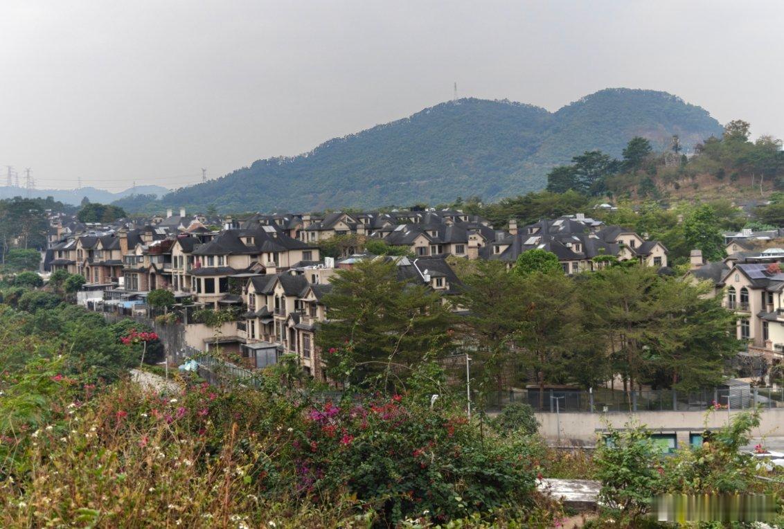 早～深圳有自己的佛罗里达昨天下午出门去了趟白石龙公园，好家伙，露营的、运动的、烧