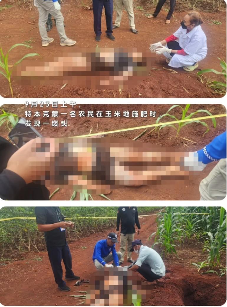 9月23日特本克蒙农民在地里施肥时，发现一缕头发进一步挖掘，发现了土里面埋了一颗