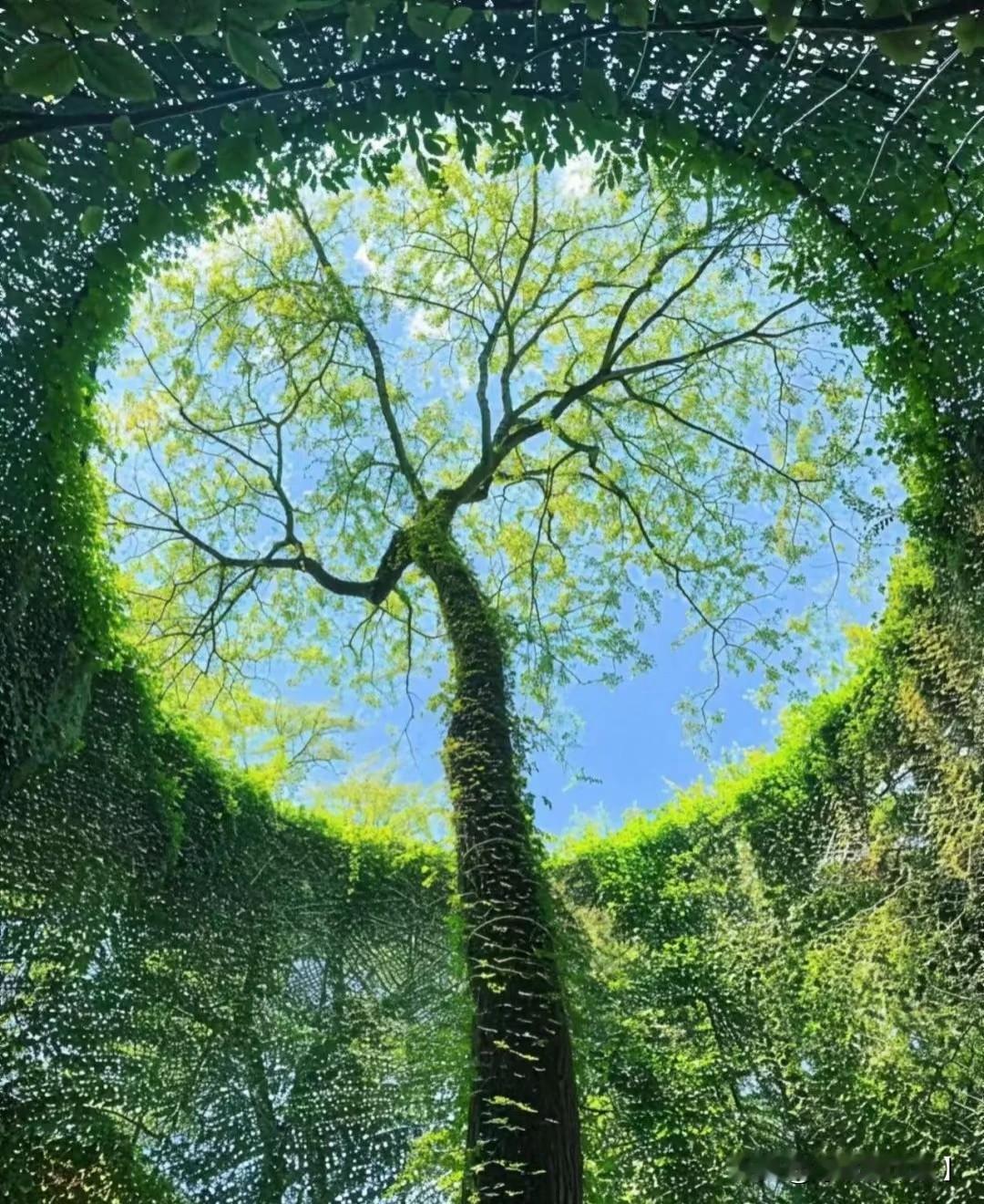 上联：贫在闹市无人问，下联怎么对富在山区有远亲。