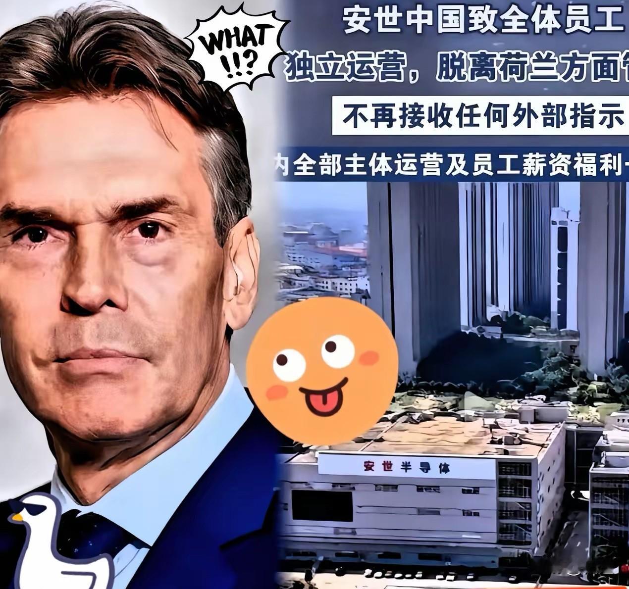 荷兰冻结147亿,安世反击撕破脸,芯片根在中国手！荷兰想用行政手段控制芯片