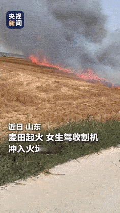 “这个美女又被央视点赞了！”6月19日报道，山东，100多亩麦田着火，女孩开收割
