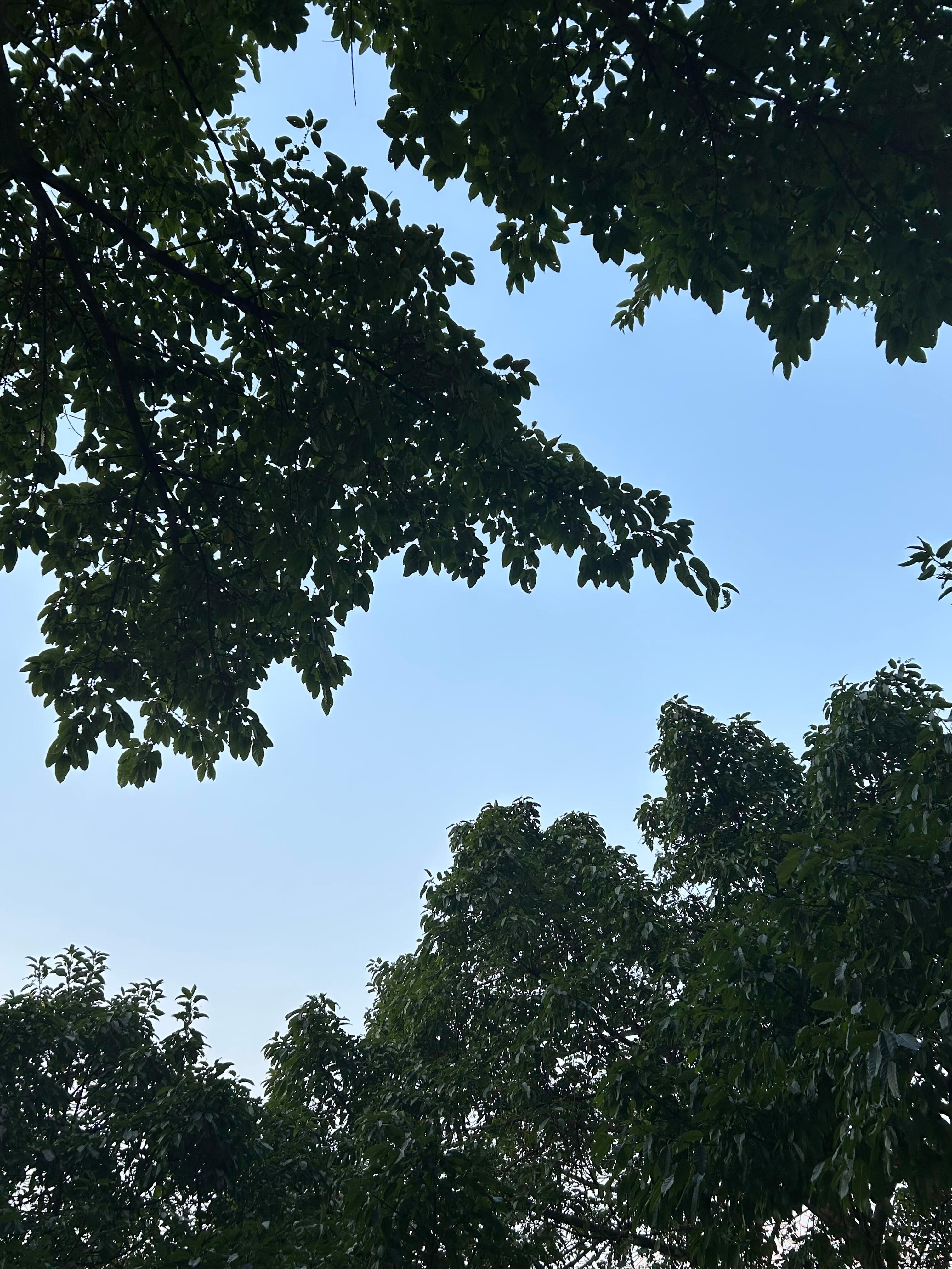 🥯開心過生活𝚕𝚒𝚏𝚎🍲随时随地分享不新鲜事儿