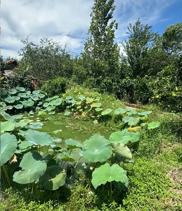 人这一辈子，最傻的事就是跟不尊重你的人较劲别和不尊重你的人较劲生活