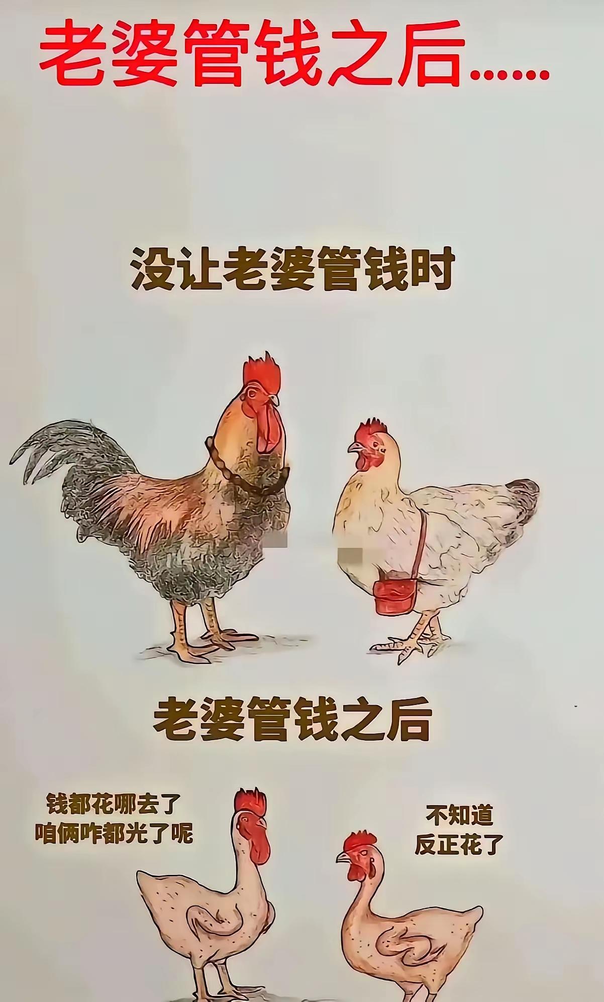 俗话说得好：老娘们当家——房倒屋塌，当然也有例外[捂脸哭]