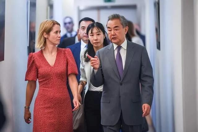中国商务部的一纸公告让欧盟傲慢心态彻底破防根据中国商务部公告，自2025年7